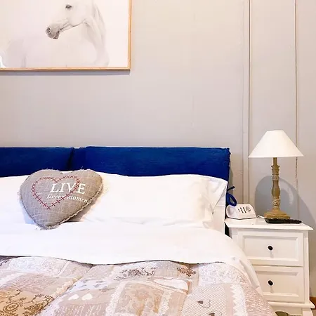 Biscuit Pisa